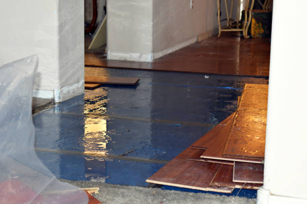 Professional Basement Flooding technician working in Apex, NC
